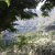 campingyuste (43)